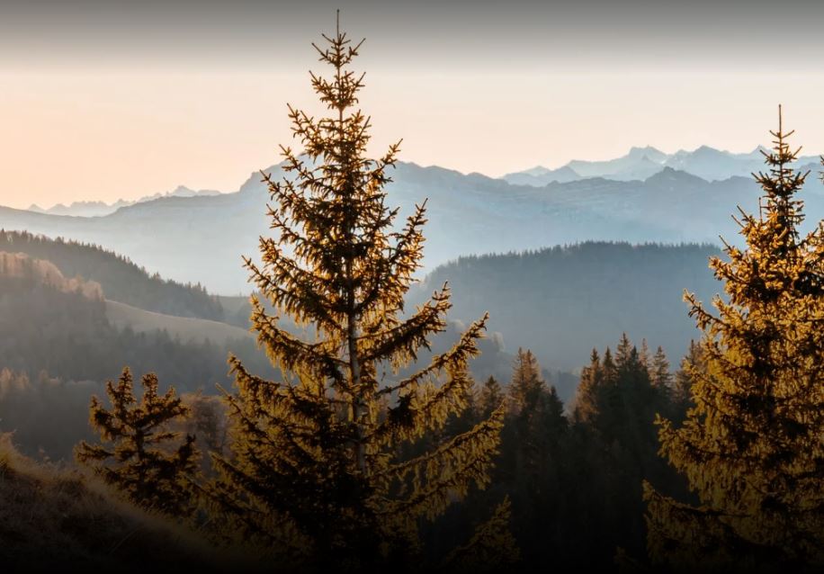 Marschtraining Hörnli, 9. Mai 2026
